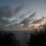 Kiet Tran Profile Picture