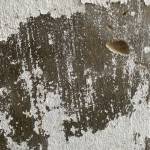 Tầu Ngầm Profile Picture