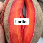 teo nguyen Profile Picture