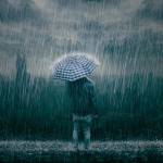 Hữu Trường Profile Picture