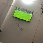 Tuyên Hoàng Profile Picture