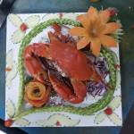 Nguyen minh Hoai Profile Picture