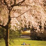 minhden23 Profile Picture