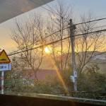 Ku Con Profile Picture