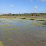 Huu Nguyễn Profile Picture