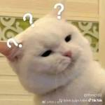 Kiên Văn Profile Picture