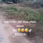 KHOA2003t Profile Picture