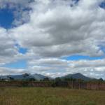 tùng nguyễn Profile Picture