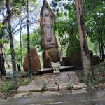 Dung Cong Profile Picture