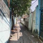 Bach Tien Profile Picture