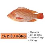 cá diêu hồng Profile Picture