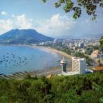 Vung Tau Profile Picture