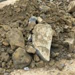 Lao Đai Profile Picture