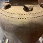 Lol Lol Profile Picture