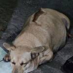 Do Ti Profile Picture