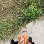 Nhật minh 0963728639 Profile Picture