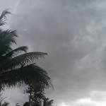 Thanh Kunz9 Profile Picture