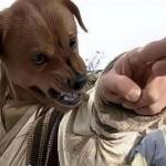 tvd1993 Profile Picture