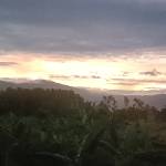 Shiva Hắc Profile Picture