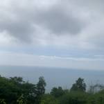 Phuong Nguyen Profile Picture