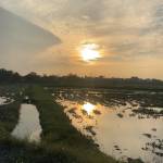 Chiến Lò Profile Picture