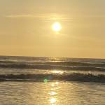 Kar123 Profile Picture