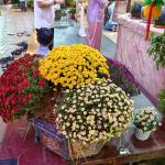 An Hồ Profile Picture