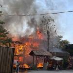 Luha Nguyen Profile Picture