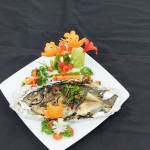 Việt Võ Profile Picture