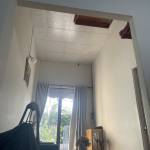 Nimitoom Profile Picture