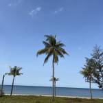 hyeonjun Kang Profile Picture