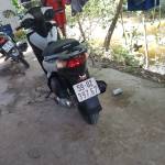 40x18cm Profile Picture