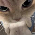 Tran Loc Profile Picture