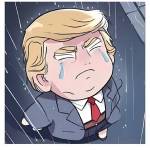 Simon C Profile Picture