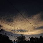 0961192830 Profile Picture