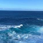 Phong Tiêu Profile Picture