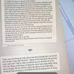 ducanh13333 nguyen Profile Picture