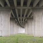 Toàn Trương Profile Picture