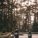 Long Triệu Profile Picture