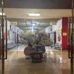 Tiến Trần Profile Picture