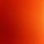 Minh Trần Profile Picture