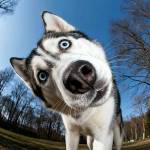 Kaka Kaka Profile Picture