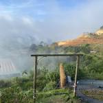 Di An Profile Picture