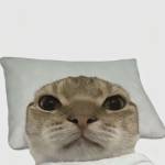 Nhím Nguyễn Profile Picture