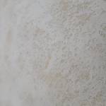 Tuấn Lê Profile Picture