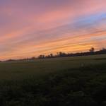 Khiem Gia Profile Picture