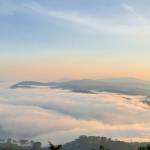 Phong Từ Profile Picture