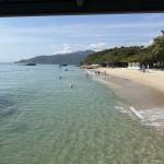 Lin Afeng Profile Picture