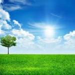 Nam Nam Profile Picture