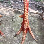 Loinguyen268 Profile Picture